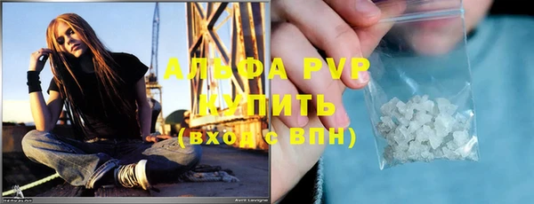 прущие грибы Тавда