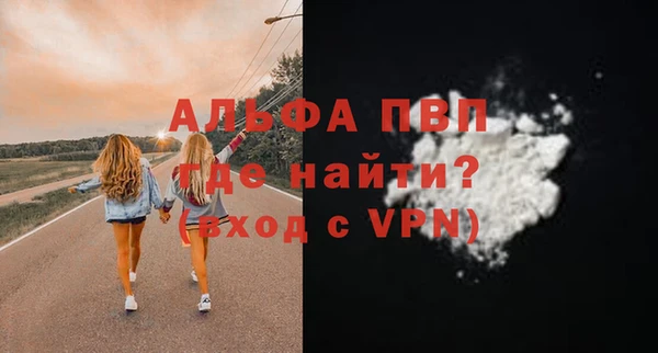 прущие грибы Тавда