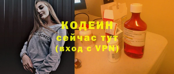 прущие грибы Тавда