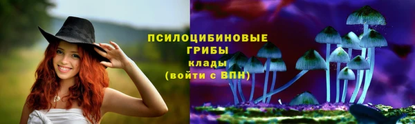 СК Тихвин