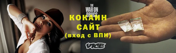 прущие грибы Тавда
