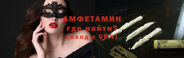прущие грибы Тавда