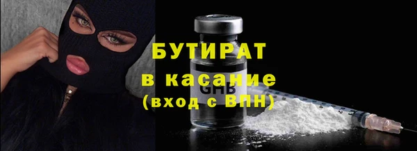 прущие грибы Тавда