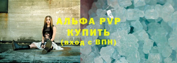 прущие грибы Тавда